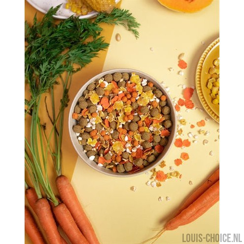 Pawr Plantaardig Vegan Golden Glow Wortel / Maïs / Pompoen / Boekweit-PAWR-Louis Choice