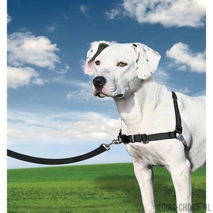 Petsafe Easy Walk Anti-Trek Tuig Zwart-PETSAFE-Louis Choice