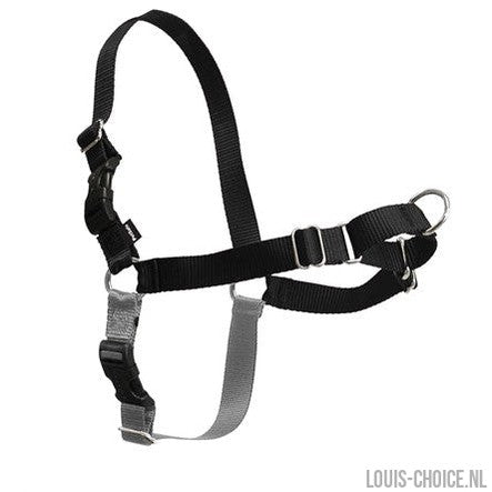 Petsafe Easy Walk Anti-Trek Tuig Zwart-PETSAFE-Louis Choice