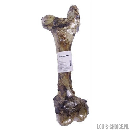 Petsnack Dinobot Xxl-PETSNACK-Louis Choice