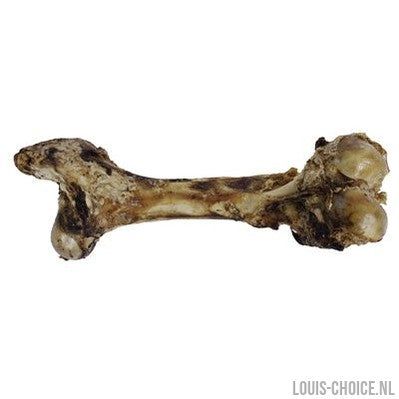 Petsnack Dinobot Xxl-PETSNACK-Louis Choice