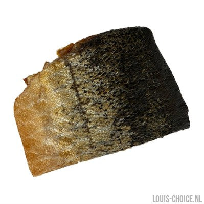 Petsnack Zalmhuid Blafstastische Hondensnack-PETSNACK-Louis Choice