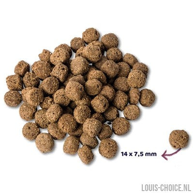 Renske Super Premium Adult Oceaanvis Hypoallergeen-RENSKE-Louis Choice