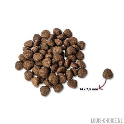Renske Super Premium Adult Zalm Graanvrij Hypoallergeen-RENSKE-Louis Choice