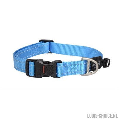 Rogz For Dogs Fanbelt Halsband Turquoise-ROGZ FOR DOGS-Louis Choice