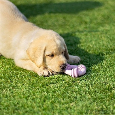 Rosewood Puppy Bijtspeelgoed Assorti-ROSEWOOD-Louis Choice