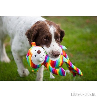 Rosewood Sonny Aap Regenboog-ROSEWOOD-Louis Choice