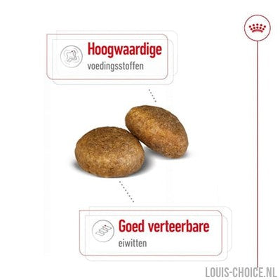 Royal Canin Maxi Adult-ROYAL CANIN-Louis Choice