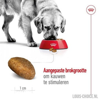 Royal Canin Maxi Adult-ROYAL CANIN-Louis Choice