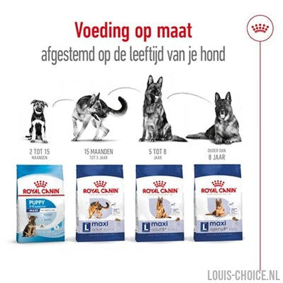 Royal Canin Maxi Adult-ROYAL CANIN-Louis Choice