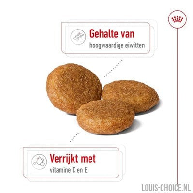 Royal Canin Medium Adult-ROYAL CANIN-Louis Choice