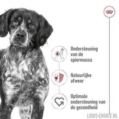 Royal Canin Medium Adult-ROYAL CANIN-Louis Choice
