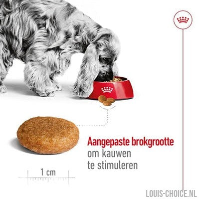 Royal Canin Medium Adult-ROYAL CANIN-Louis Choice