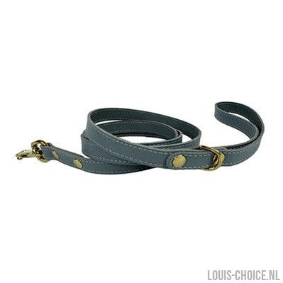 Sazzz Hondenriem Passion Classic Leer Lichtblauw-SAZZZ-Louis Choice