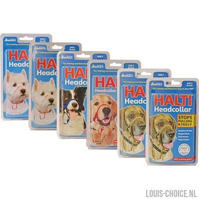 The Company Of Animals Company Of Animals Halti Headcollar Zwart-THE COMPANY OF ANIMALS-Louis Choice