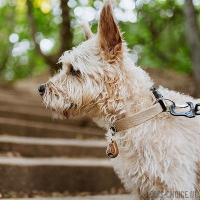 Tickless Eco Teek En Vlo Afweer Voor Hond En Kat Bruin-TICKLESS-Louis Choice