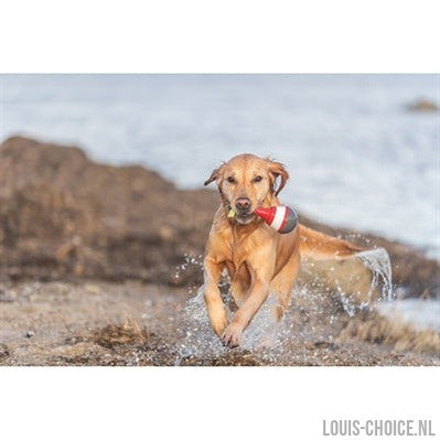 Trixie Aqua Snack Boei Tpr-TRIXIE-Louis Choice