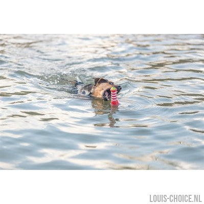 Trixie Aqua Vuurtoren Tpr-TRIXIE-Louis Choice