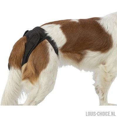 Trixie Beschermbroekje Comfort Mesh Materiaal Zwart-TRIXIE-Louis Choice