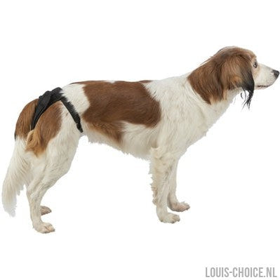 Trixie Beschermbroekje Comfort Mesh Materiaal Zwart-TRIXIE-Louis Choice