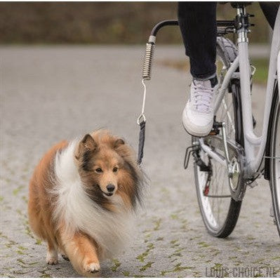 Trixie Bikerset Fietsbeugel Springer-TRIXIE-Louis Choice