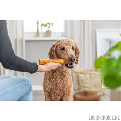 Trixie Denta Fun Roll Van Collageen Met Kip-TRIXIE-Louis Choice