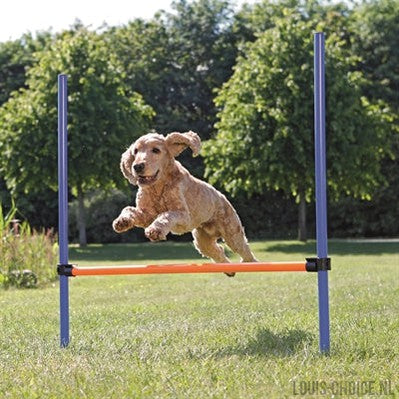 Trixie Dog Activity Agility Horde Blauw / Oranje-TRIXIE-Louis Choice