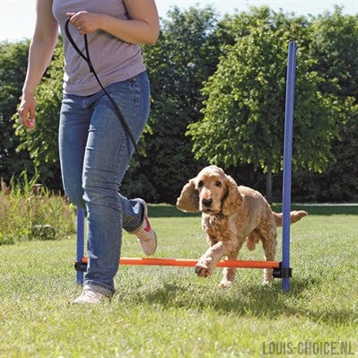 Trixie Dog Activity Agility Horde Blauw / Oranje-TRIXIE-Louis Choice