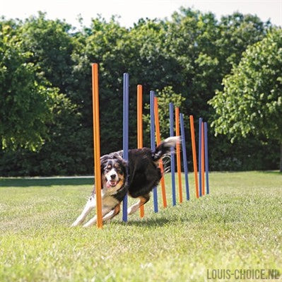 Trixie Dog Activity Agility Slalom Stokken Blauw / Oranje-TRIXIE-Louis Choice