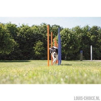Trixie Dog Activity Agility Slalom Stokken Blauw / Oranje-TRIXIE-Louis Choice