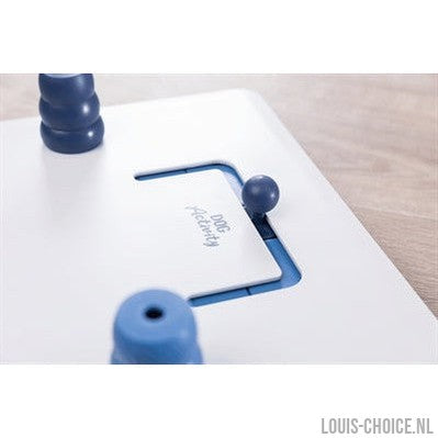 Trixie Dog Activity Move2Win Hondenspel-TRIXIE-Louis Choice