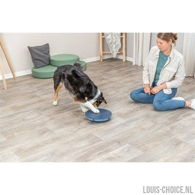 Trixie Dog Activity Rocking Maze Kunststof-TRIXIE-Louis Choice