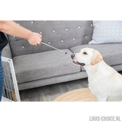 Trixie Dog Activity Target Stick Aanwijsstok Assorti-TRIXIE-Louis Choice