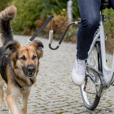 Trixie Fietsbeugel U-Vorm-TRIXIE-Louis Choice