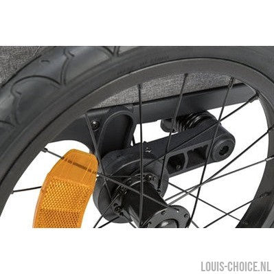 Trixie Fietskar Grijs / Salie-TRIXIE-Louis Choice