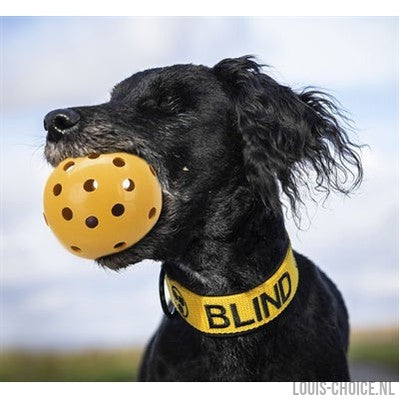 Trixie Gatenbal Natuurrubber Met Bel Voor Blinde Of Gehandicapte Hond-TRIXIE-Louis Choice