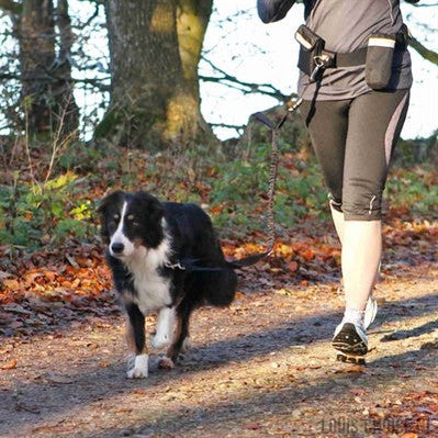 Trixie Heupriem Met Jogginglijn Zwart-TRIXIE-Louis Choice