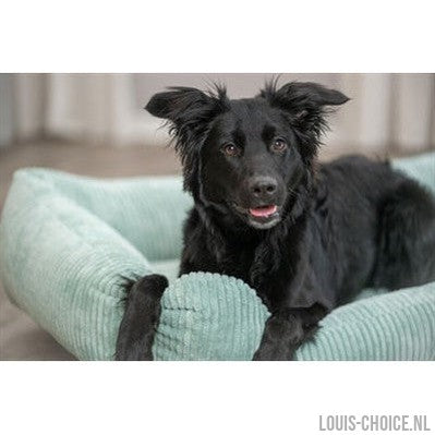 Trixie Hondenmand Vital Jonna Ribfluweel Saliegroen-TRIXIE-Louis Choice