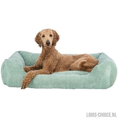 Trixie Hondenmand Vital Jonna Ribfluweel Saliegroen-TRIXIE-Louis Choice