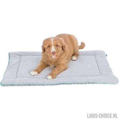 Trixie Junior Ligmat Lichtgrijs / Mintgroen-TRIXIE-Louis Choice