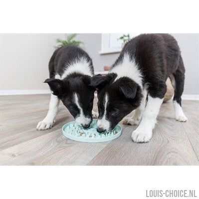 Trixie Junior Likplaat Mintgroen-TRIXIE-Louis Choice