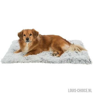 Trixie Ligmat Harvey Wit / Grijs-TRIXIE-Louis Choice