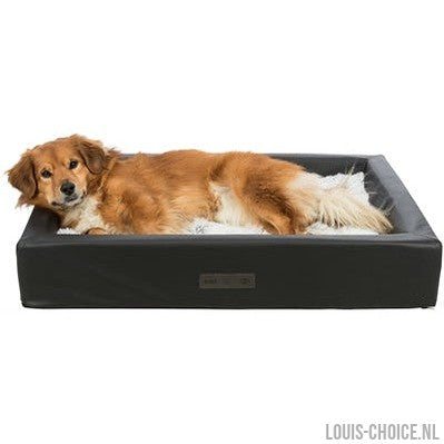 Trixie Ligmat Harvey Wit / Grijs-TRIXIE-Louis Choice
