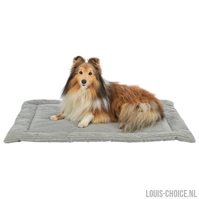 Trixie Ligmat Jonna Ribfluweel Grijs-TRIXIE-Louis Choice
