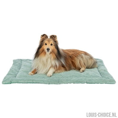 Trixie Ligmat Jonna Ribfluweel Salie Groen-TRIXIE-Louis Choice