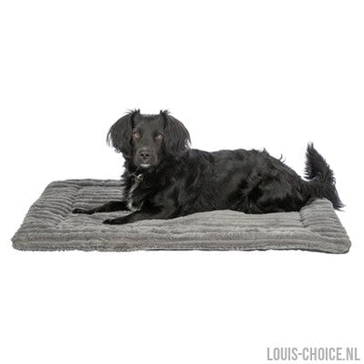 Trixie Ligmat Lonni Ribfluweel Grijs-TRIXIE-Louis Choice