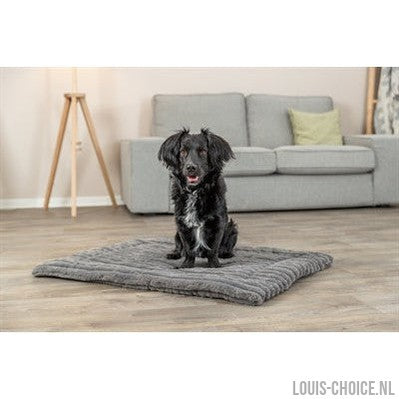 Trixie Ligmat Lonni Ribfluweel Grijs-TRIXIE-Louis Choice