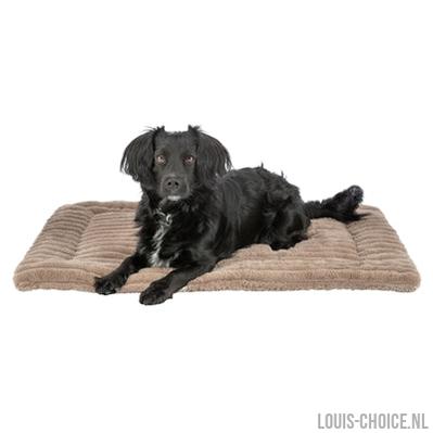 Trixie Ligmat Lonni Ribfluweel Lichtbruin-TRIXIE-Louis Choice