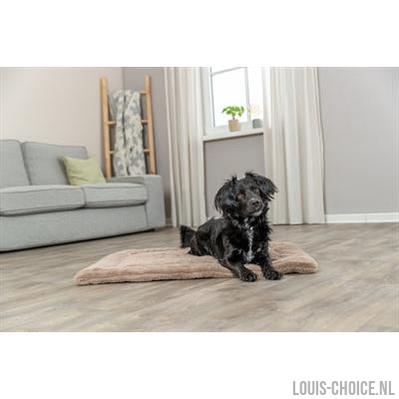Trixie Ligmat Lonni Ribfluweel Lichtbruin-TRIXIE-Louis Choice