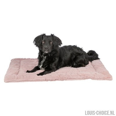 Trixie Ligmat Lonni Ribfluweel Roze-TRIXIE-Louis Choice